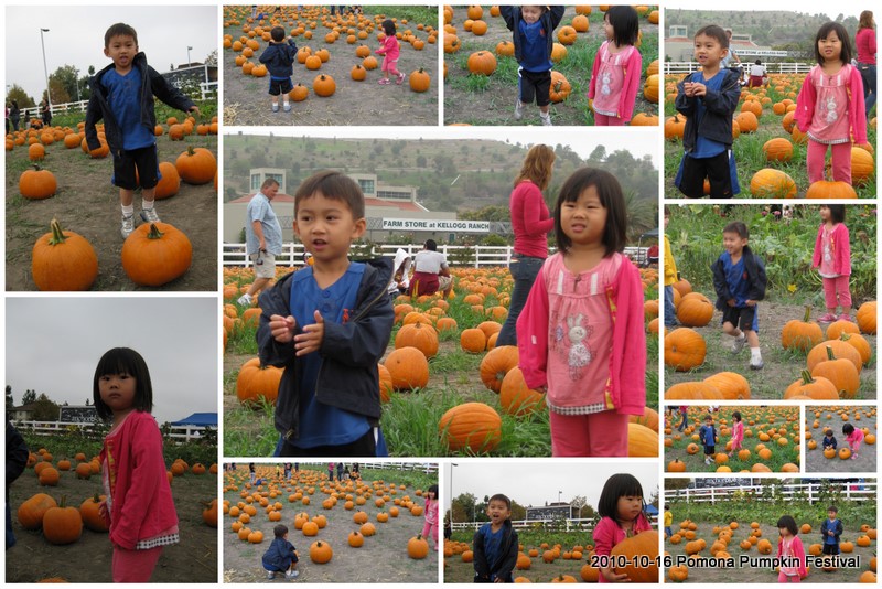 2010_10_16 Pumpkin Patch