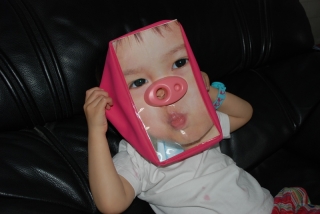 dsc_0449